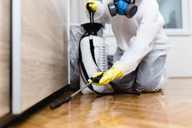 Best Local Pest Control Services  in New York Mills, NY
