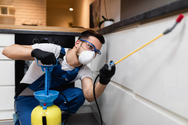 Flea Control Services in New York Mills, NY