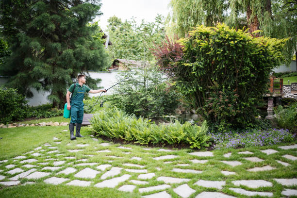 Best Pest Prevention Services  in New York Mills, NY
