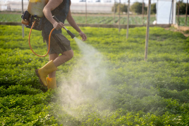 Best Best Pest Control Companies  in New York Mills, NY