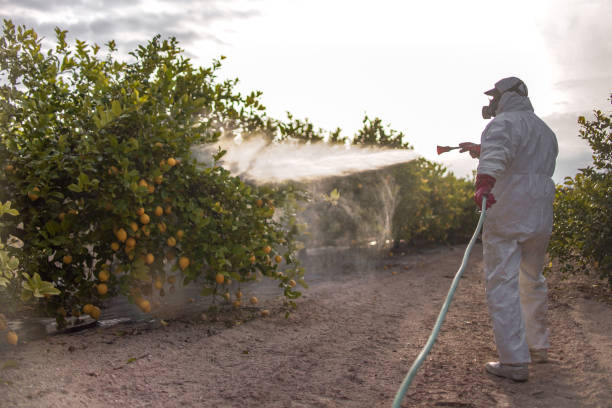 Best Exterminator Services  in New York Mills, NY