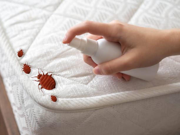 Best Pest Inspection Near Me  in New York Mills, NY