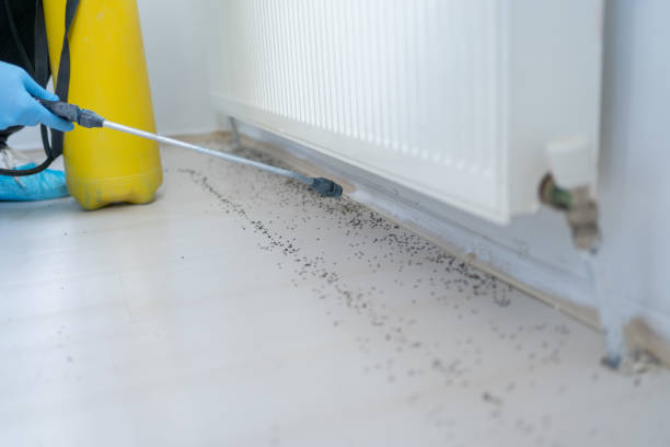 Professional Pest Control in New York Mills, NY