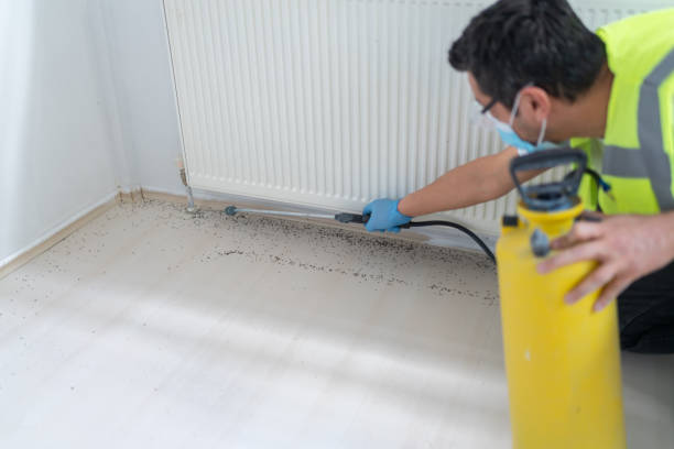 Best Wasp Removal Services  in New York Mills, NY